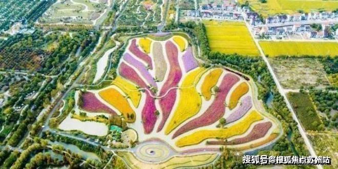 国印东方(国印东方售楼处)首页网站-2025房价_楼盘评测丨地址丨详情丨售楼处电话丨交房时间(图22)