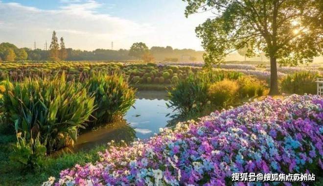 国印东方(国印东方售楼处)首页网站-2025房价_楼盘评测丨地址丨详情丨售楼处电话丨交房时间(图23)