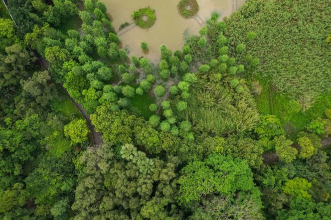 汇聚“共栖之岛”第二届“永续之籽”教育计划面向全国高校创作者发起公开招募(图2)