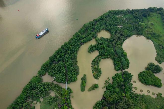 汇聚“共栖之岛”第二届“永续之籽”教育计划面向全国高校创作者发起公开招募(图27)