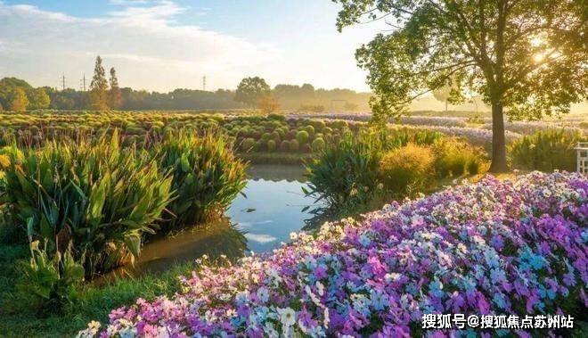 国印东方(国印东方官方售楼处)官方网站-2025楼盘评测_售楼处电话丨房价丨详情丨地址丨楼盘百科详情(图29)