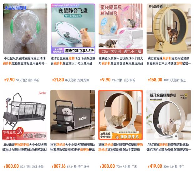 比人还自律？宠物“占领”瑜伽馆、游泳池连专属健身房都有！(图5)