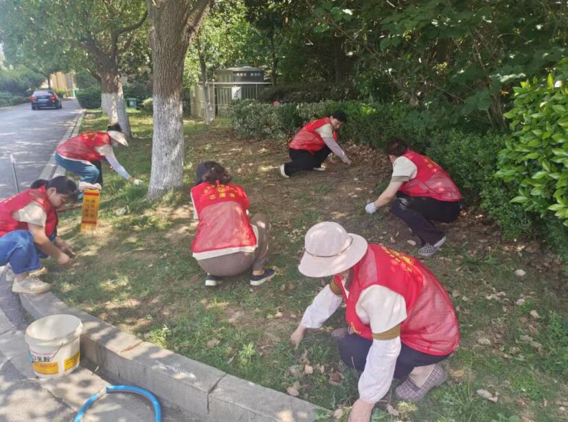 肥西县：巾帼力量绘就城市精细化管理新图景(图2)