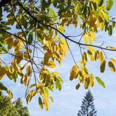 vr解压体验馆是干嘛的(图3)