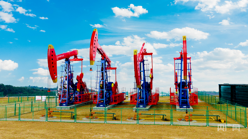 光耀太行·红土巨变武乡：红土铸辉煌沃野谱新篇(图6)