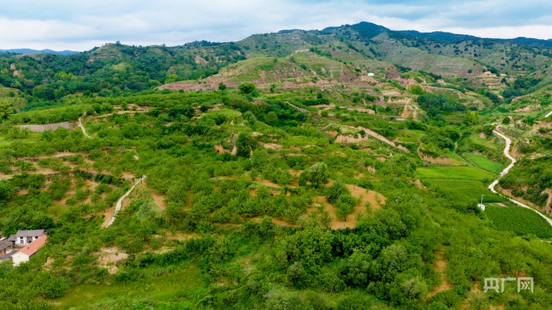 光耀太行·红土巨变武乡：红土铸辉煌沃野谱新篇(图4)