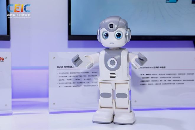 在CEIC2025消费电子创新大会感受科技的温度(图9)