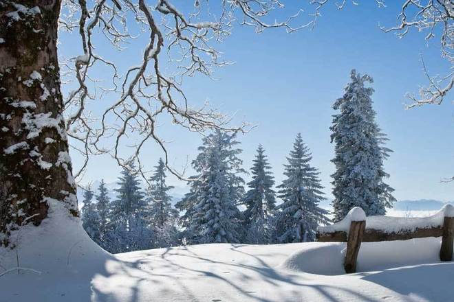 增强现实游戏促进户外活动