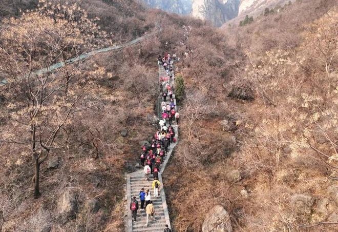 迎新登高！2000余名健身爱好者齐聚神农山(图4)